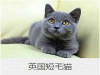 山东沐泽商贸有限公司
