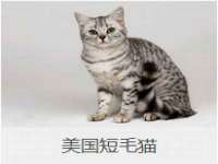 山东沐泽商贸有限公司