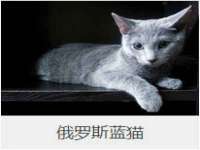 山东沐泽商贸有限公司