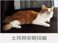 山东沐泽商贸有限公司