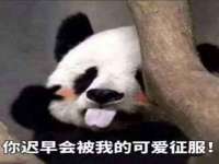 山东沐泽商贸有限公司