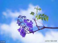 山东沐泽商贸有限公司