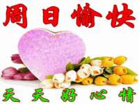 山东沐泽商贸有限公司