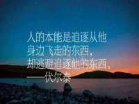 山东沐泽商贸有限公司