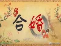 山东沐泽商贸有限公司