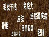 山东沐泽商贸有限公司