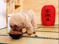 山东沐泽商贸有限公司