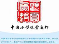 山东沐泽商贸有限公司
