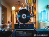 山东沐泽商贸有限公司