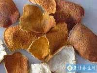 山东沐泽商贸有限公司