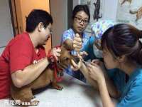 山东沐泽商贸有限公司