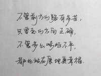 山东沐泽商贸有限公司